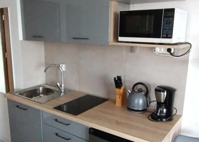 Flamingo 31 公寓 米兹多洛杰