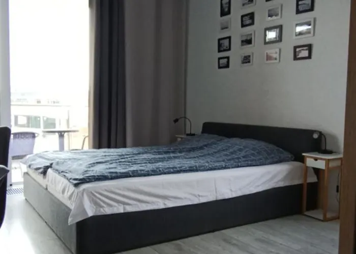 公寓 Flamingo 31 米兹多洛杰